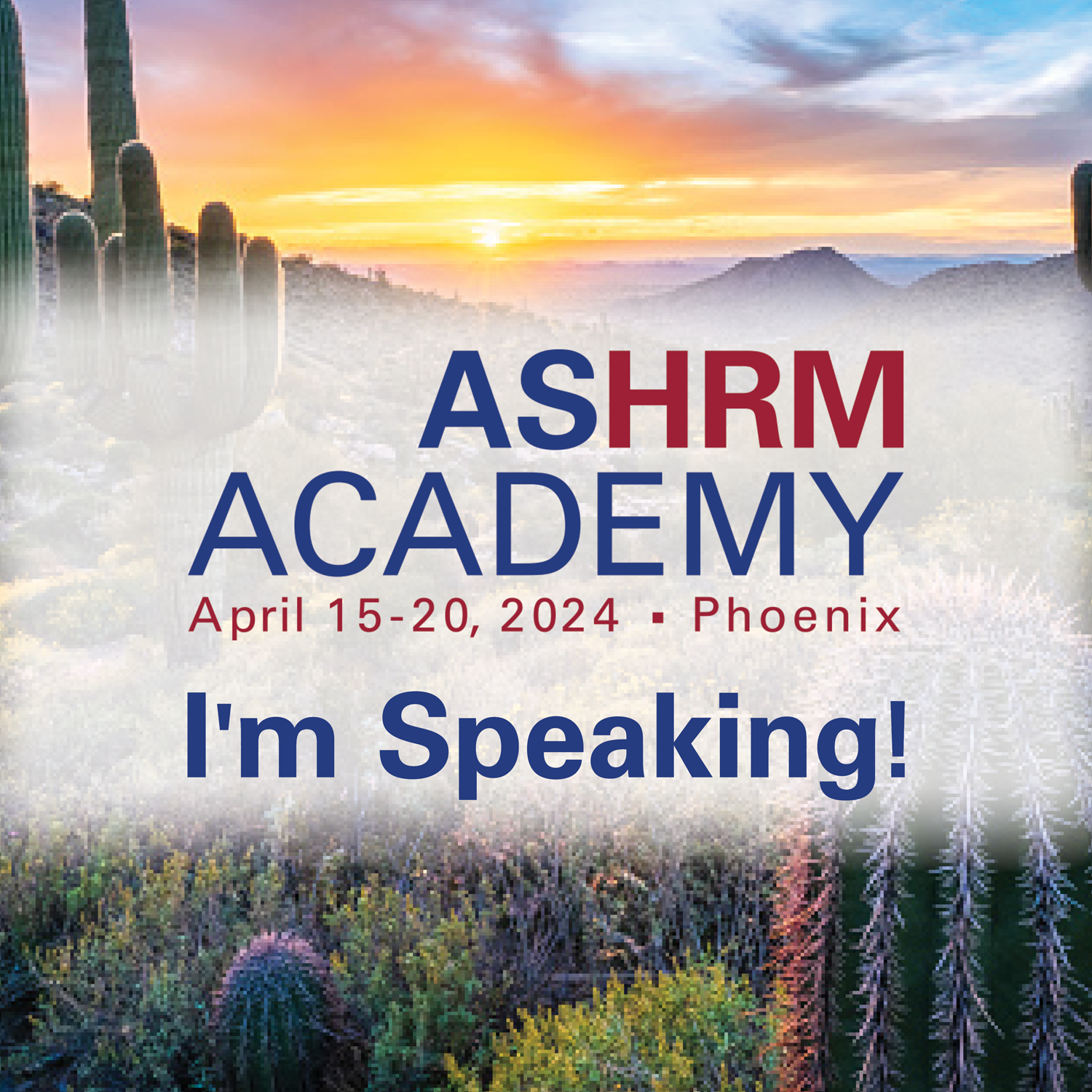 Join us in Phoenix at ASHRM Academy 2024 ASHRM