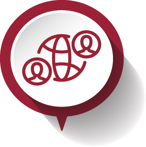 connection icon